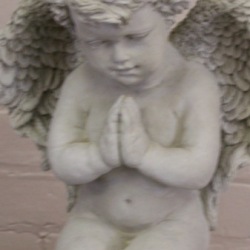 Cherub praying large