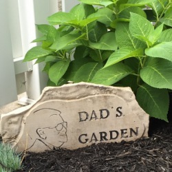 Dad's Garden